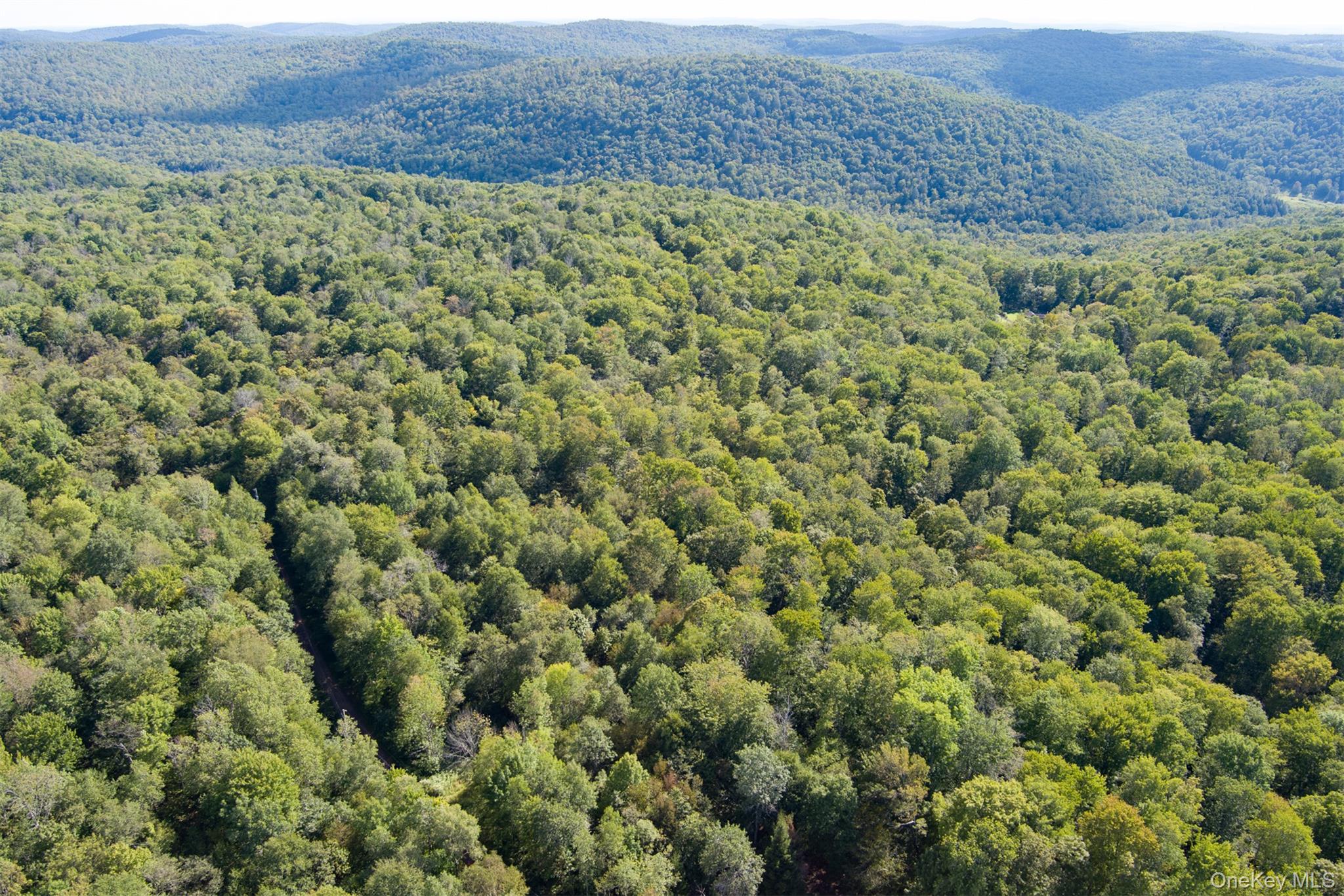 #4 photo, Maccabee Road, Roscoe , NY 