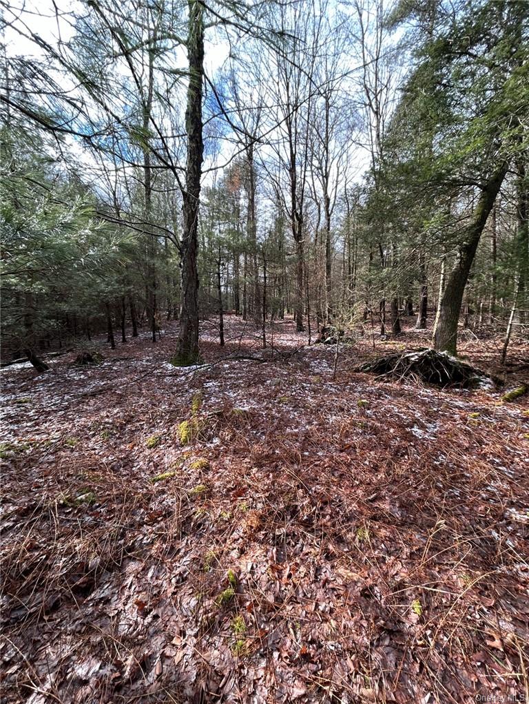 #10 photo, 143 Brandt Road, Cuddebackville , NY 12729