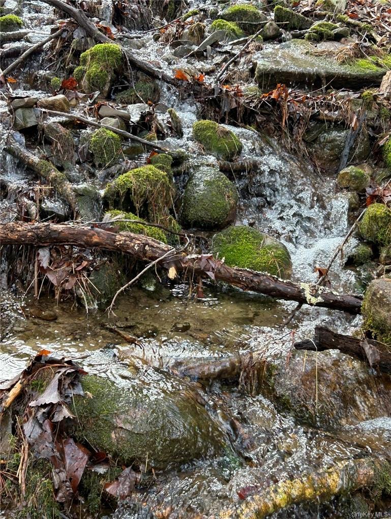 #2 photo, 143 Brandt Road, Cuddebackville , NY 12729