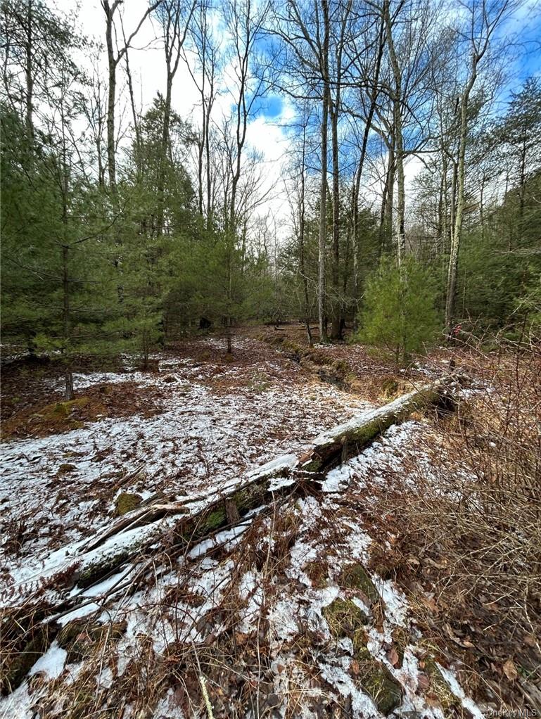 #4 photo, 143 Brandt Road, Cuddebackville , NY 12729