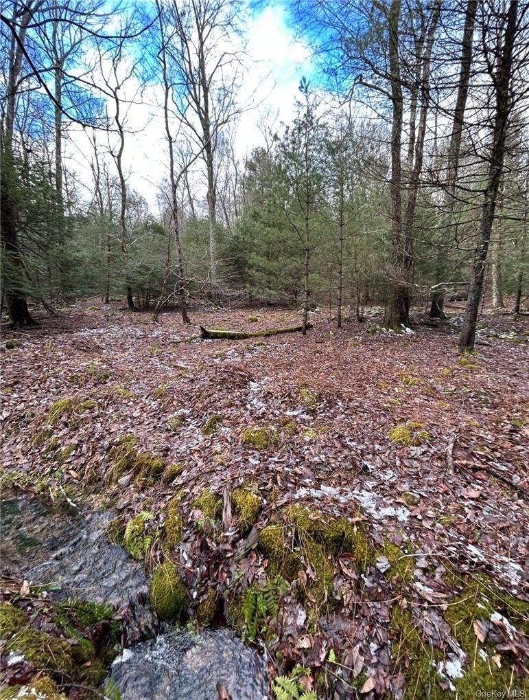 #5 photo, 143 Brandt Road, Cuddebackville , NY 12729