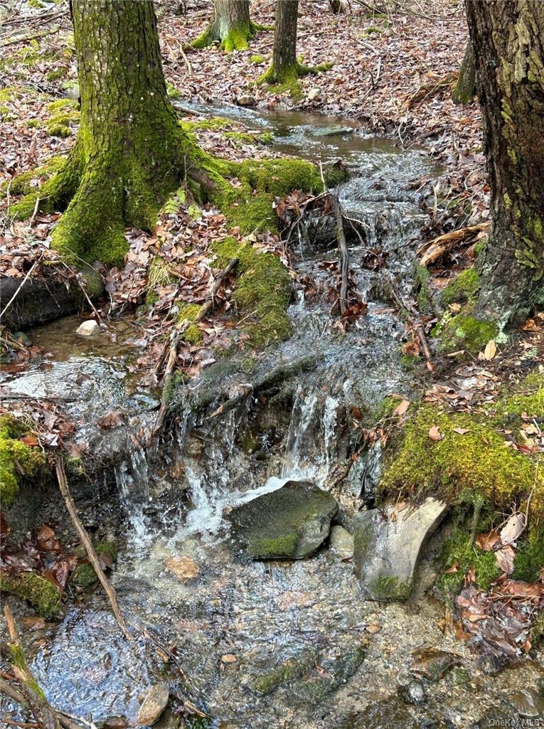 #7 photo, 143 Brandt Road, Cuddebackville , NY 12729