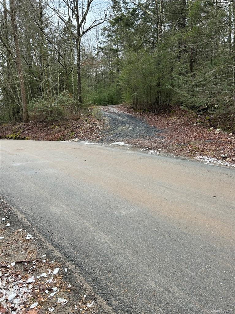 #9 photo, 143 Brandt Road, Cuddebackville , NY 12729