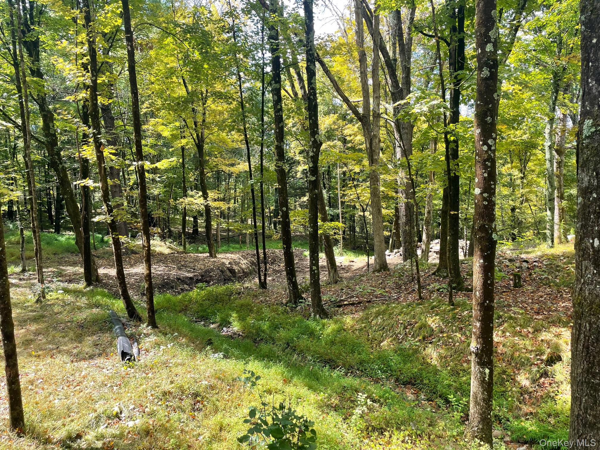 #12 photo, Lot #2 Church Rd, Red Hook , NY 12571