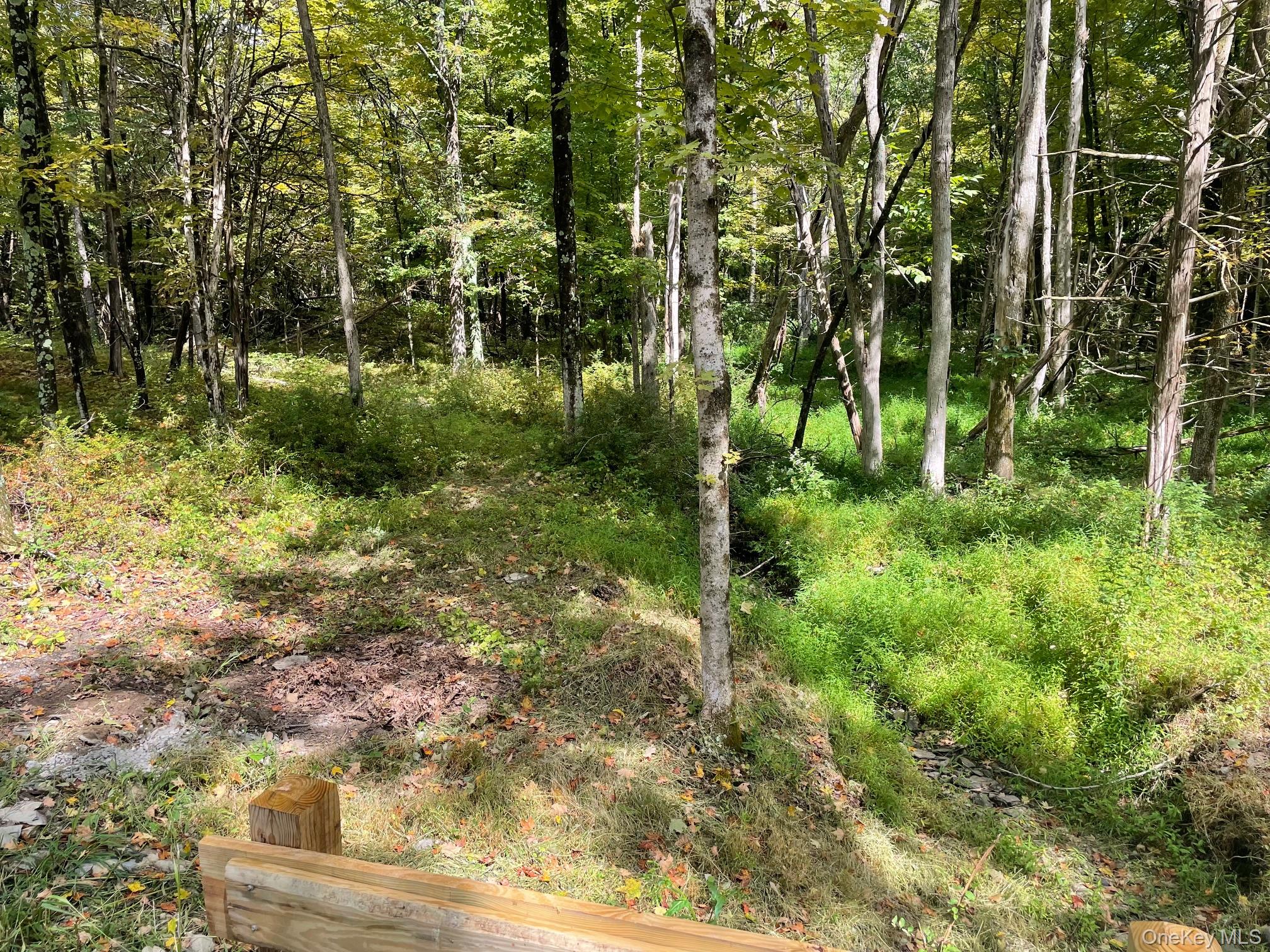 #13 photo, Lot #2 Church Rd, Red Hook , NY 12571