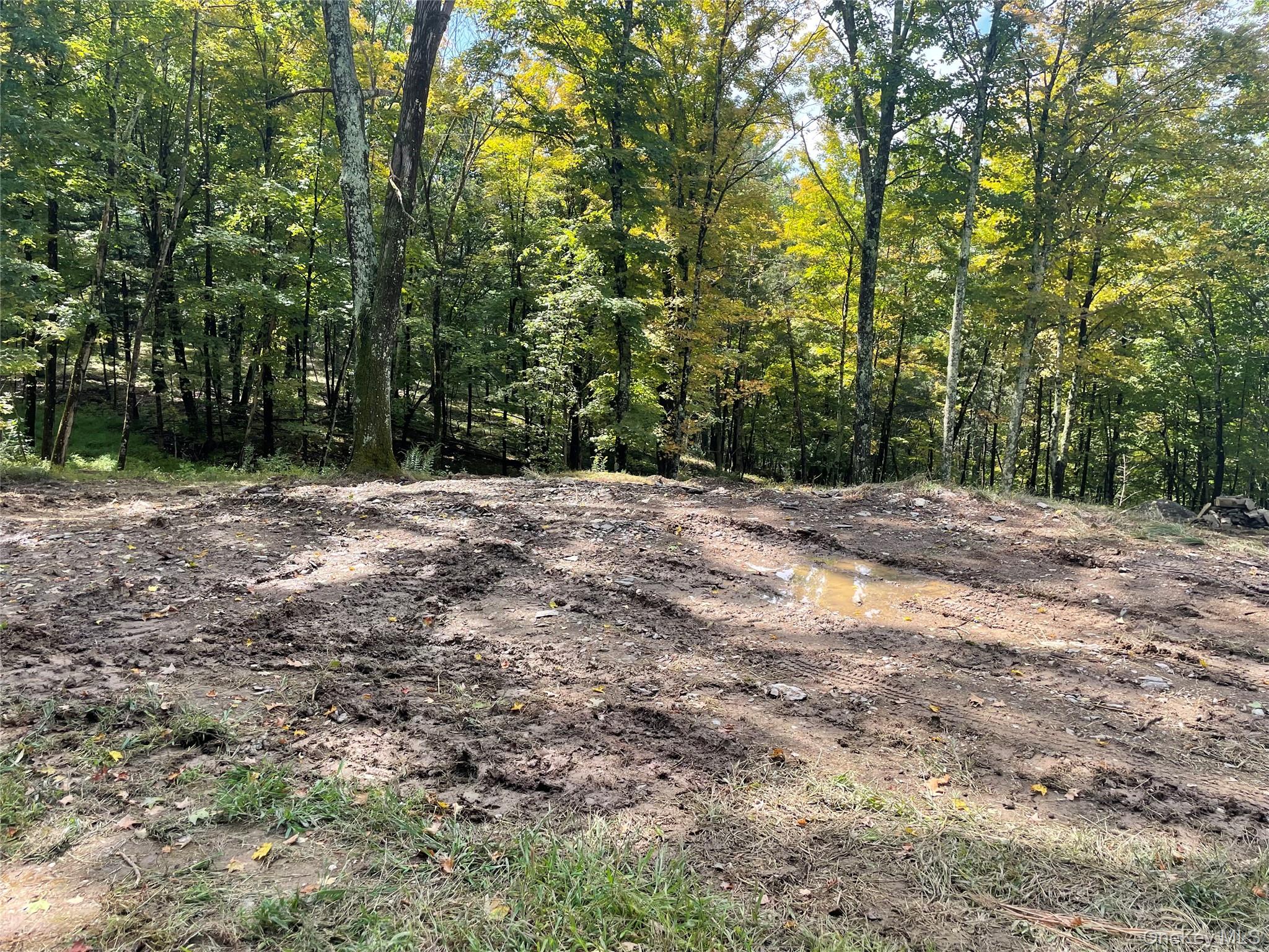 #8 photo, Lot #2 Church Rd, Red Hook , NY 12571