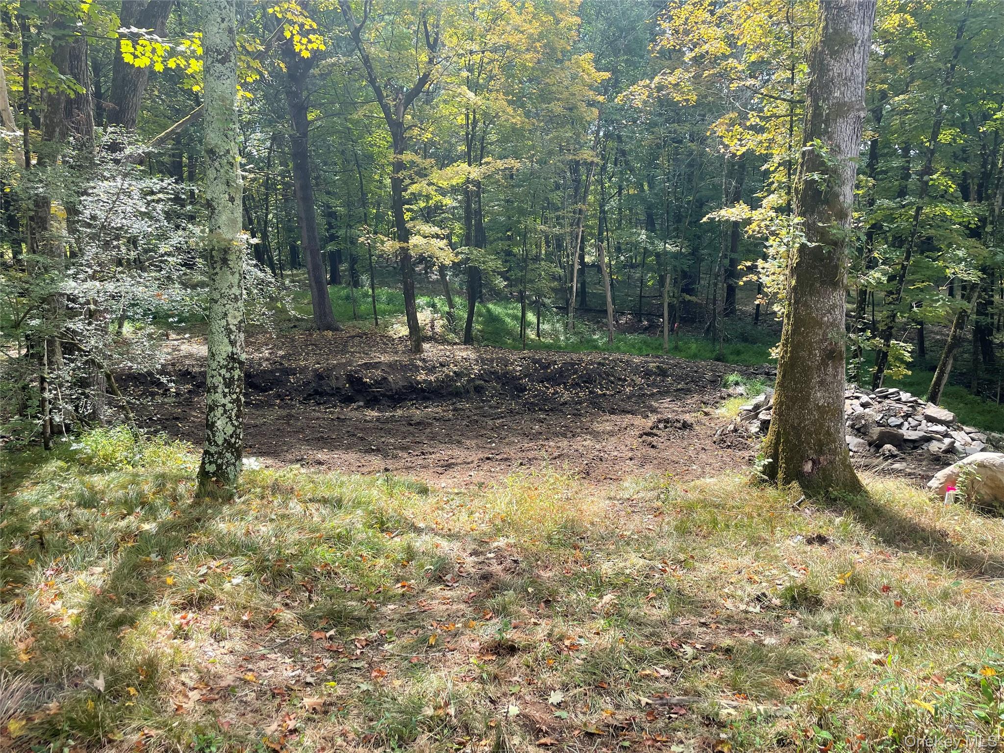 #9 photo, Lot #2 Church Rd, Red Hook , NY 12571