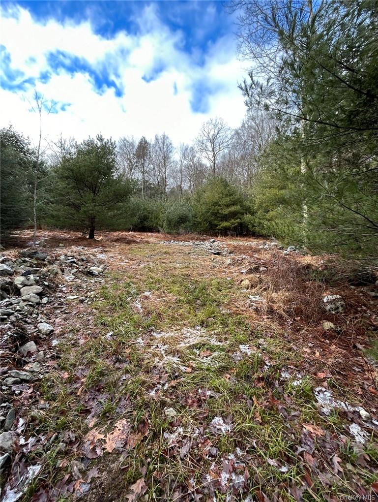 #4 photo, 145 Brandt Road, Cuddebackville , NY 12729