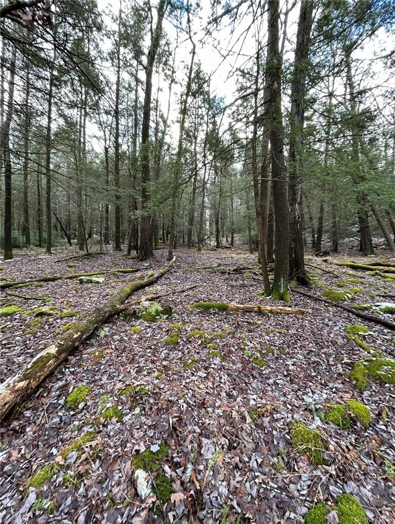 #7 photo, 145 Brandt Road, Cuddebackville , NY 12729