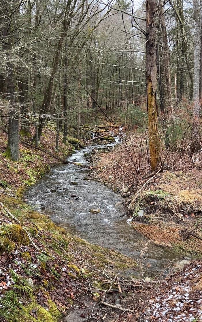 #9 photo, 145 Brandt Road, Cuddebackville , NY 12729