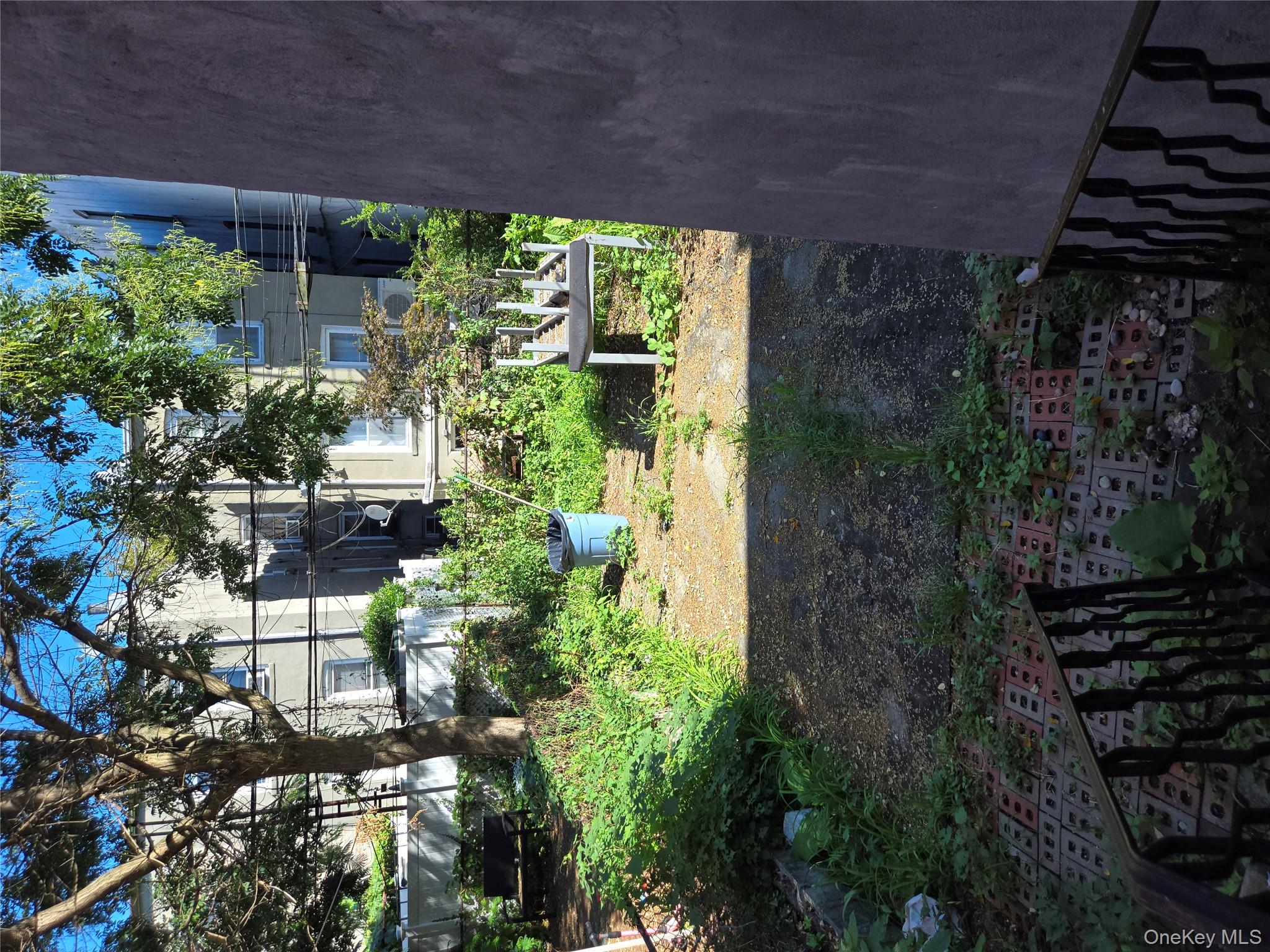 #15 photo, 343 Rutland Road, ブルックリン区 Brooklyn , NY 11225