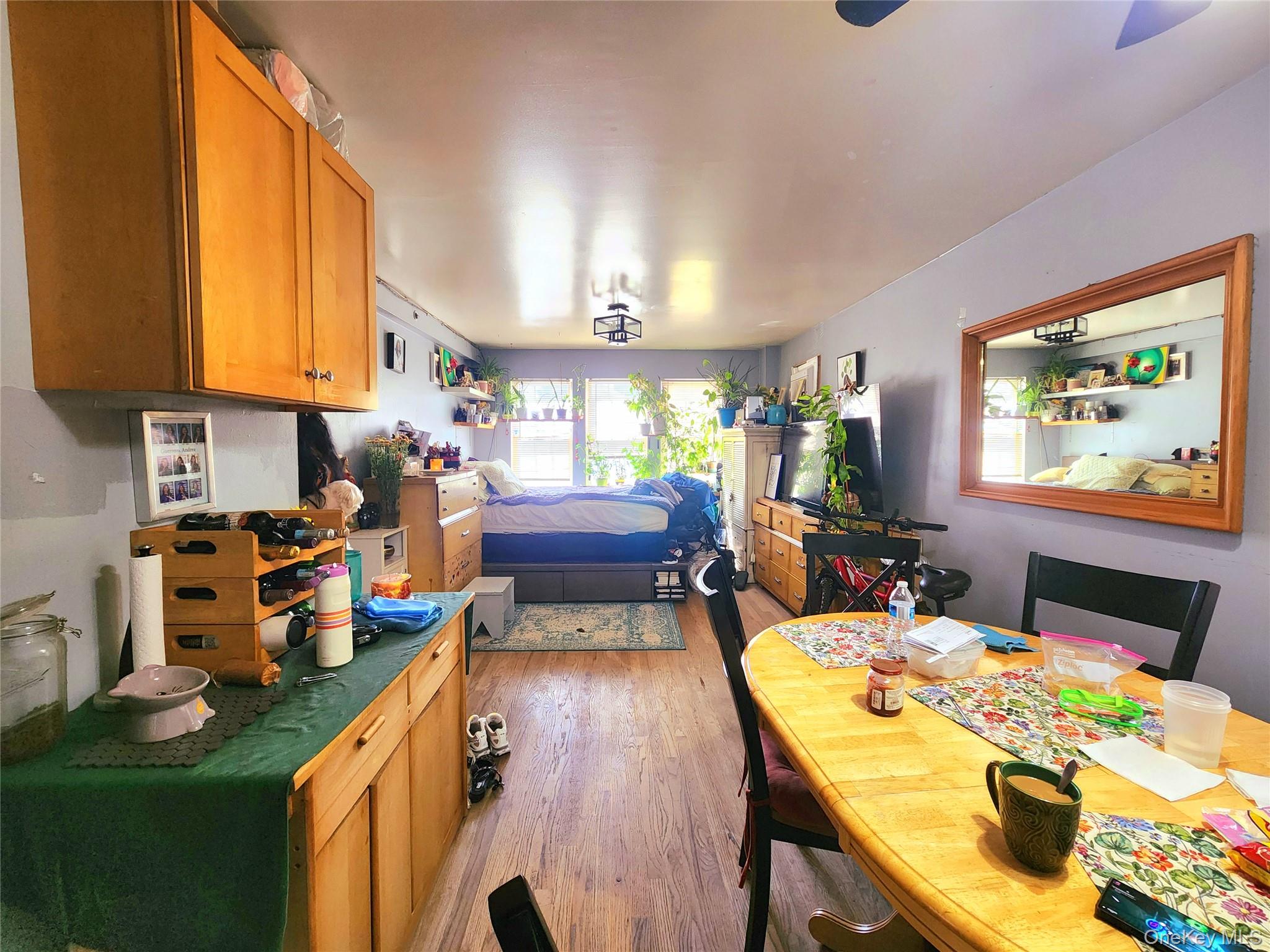 #12 photo, 1506 Jarvis Avenue, ブロンクス区 Bronx , NY 10461