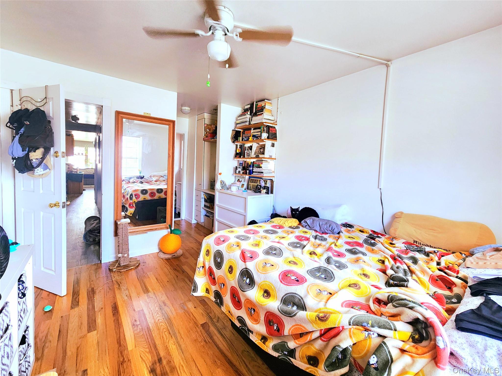 #16 photo, 1506 Jarvis Avenue, ブロンクス区 Bronx , NY 10461