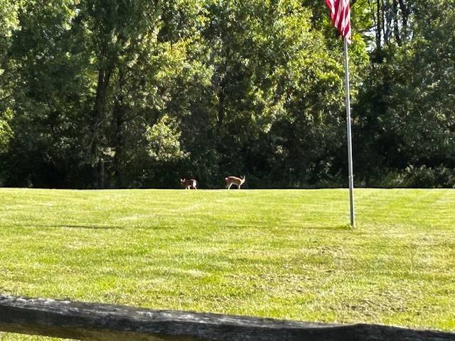 #28 photo, 809 Peckville Road, Dolgeville , NY 13329