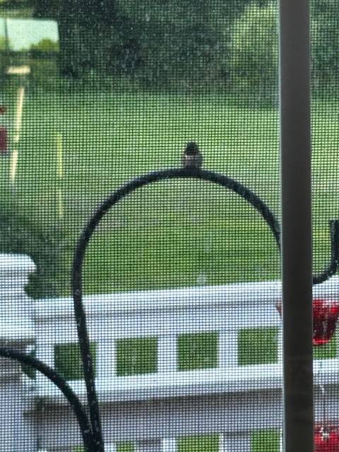 #31 photo, 809 Peckville Road, Dolgeville , NY 13329