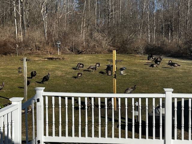 #32 photo, 809 Peckville Road, Dolgeville , NY 13329