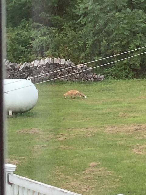 #33 photo, 809 Peckville Road, Dolgeville , NY 13329