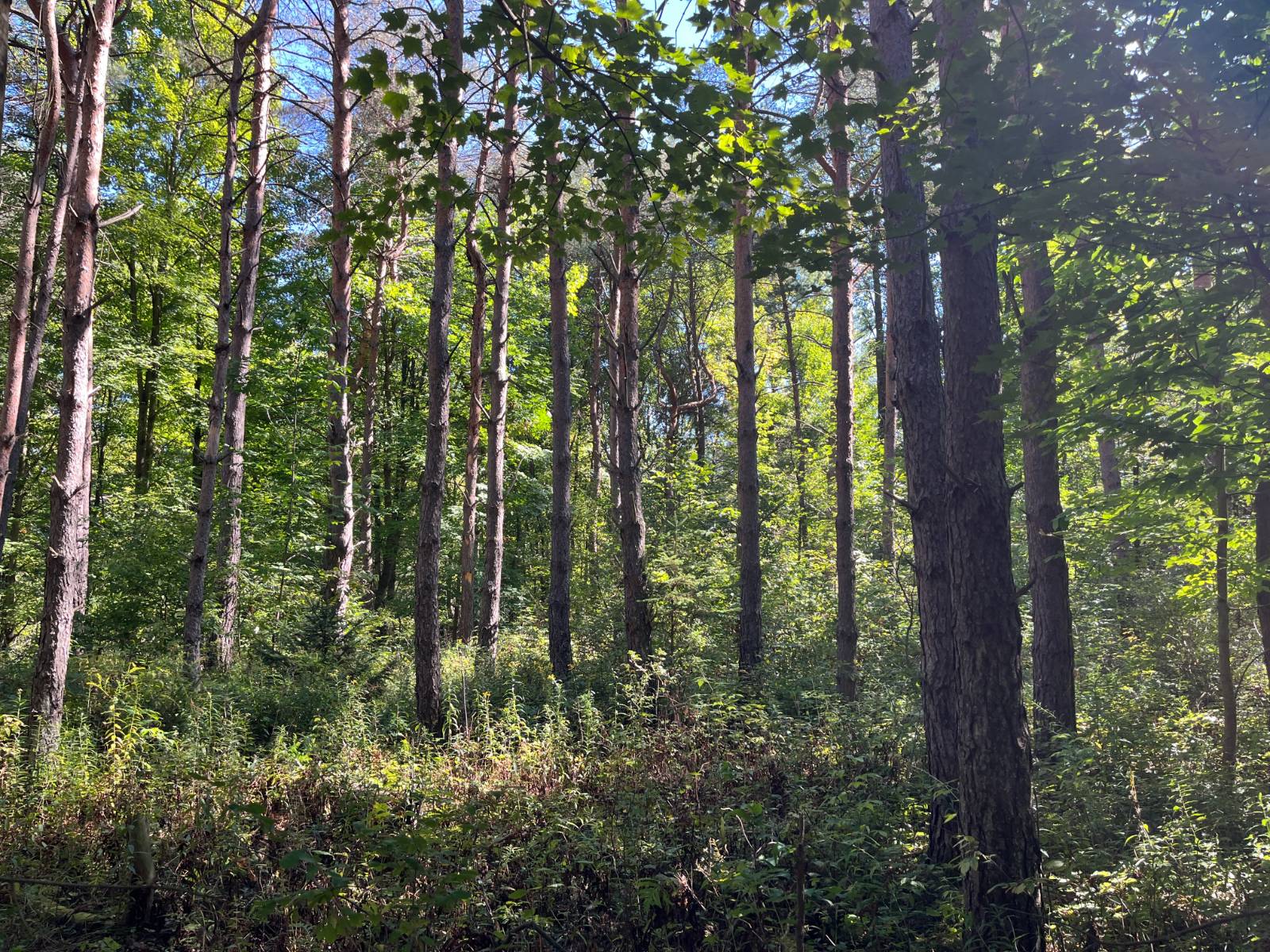 #1 photo, 00 County Route 47, #3, Winthrop , NY 13676