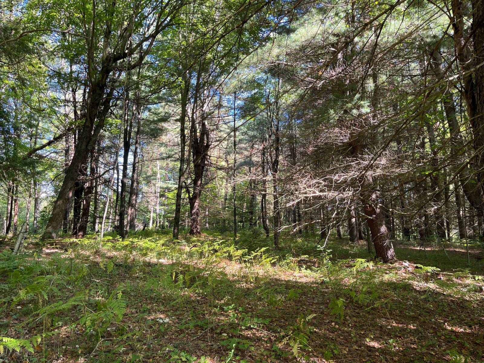 #10 photo, 00 County Route 47, #3, Winthrop , NY 13676