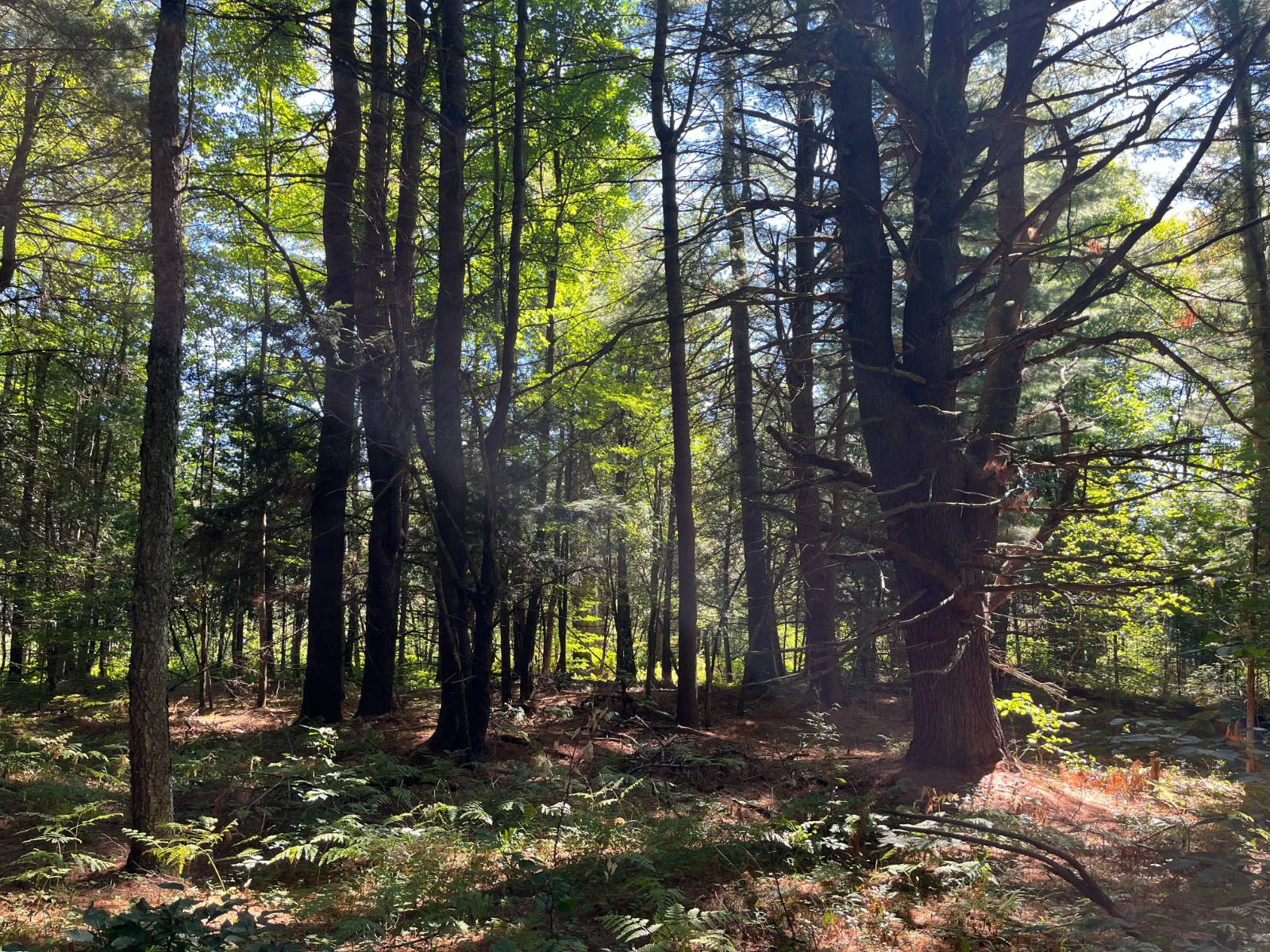 #11 photo, 00 County Route 47, #3, Winthrop , NY 13676