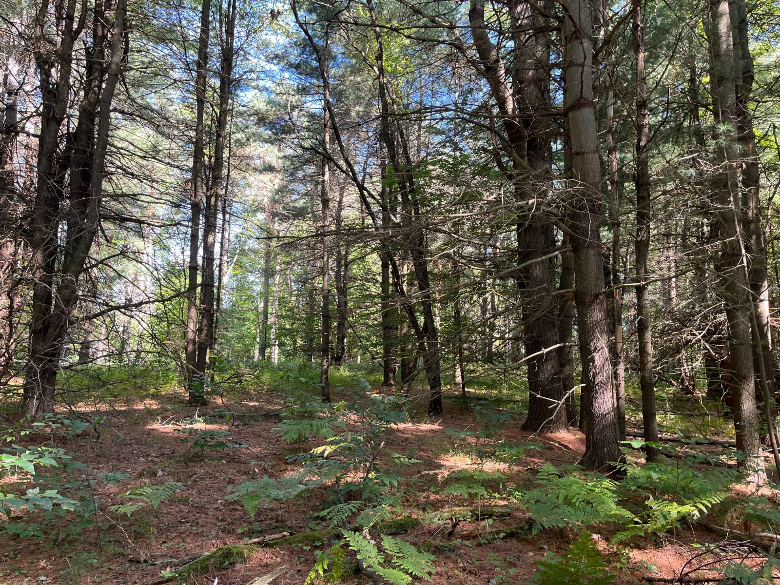 #12 photo, 00 County Route 47, #3, Winthrop , NY 13676