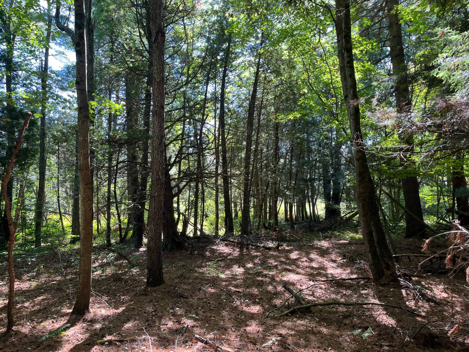 #13 photo, 00 County Route 47, #3, Winthrop , NY 13676