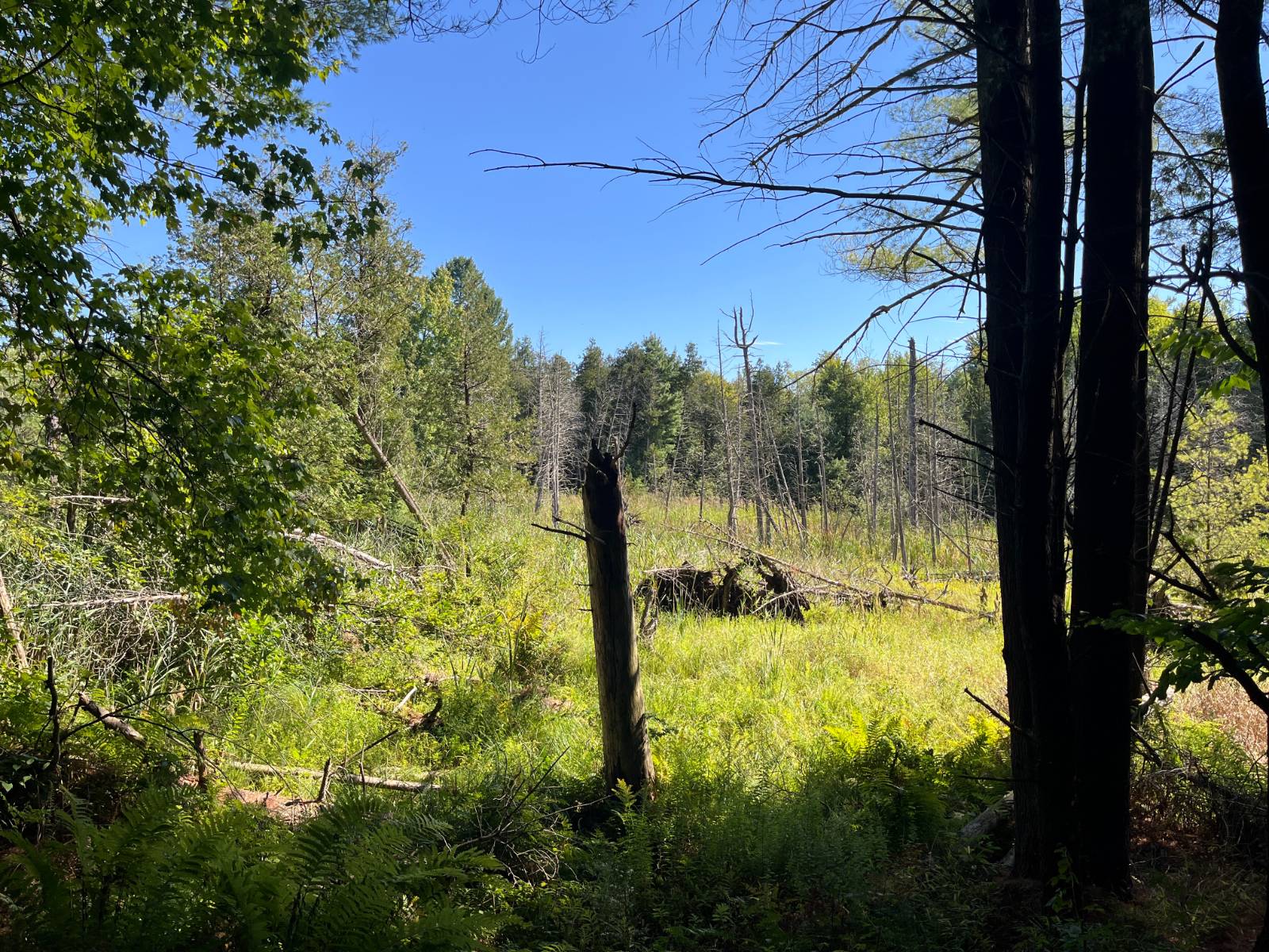 #15 photo, 00 County Route 47, #3, Winthrop , NY 13676