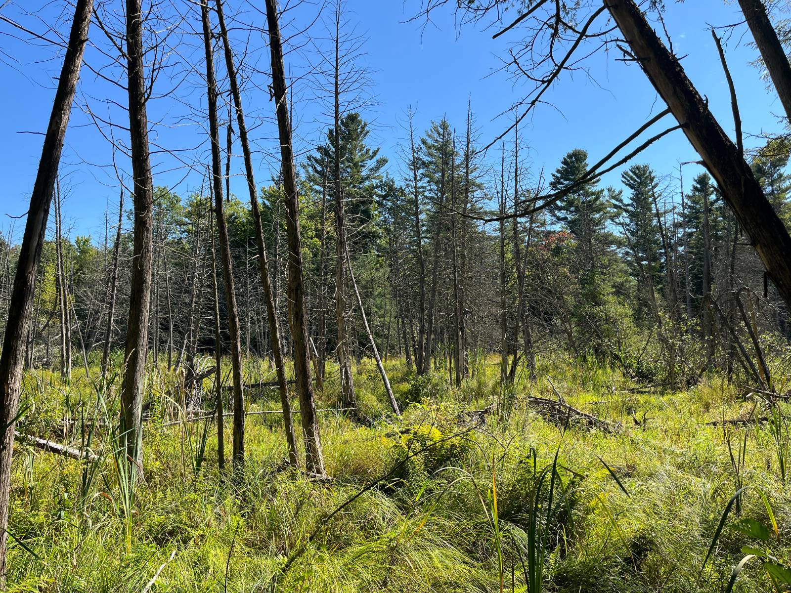 #2 photo, 00 County Route 47, #3, Winthrop , NY 13676