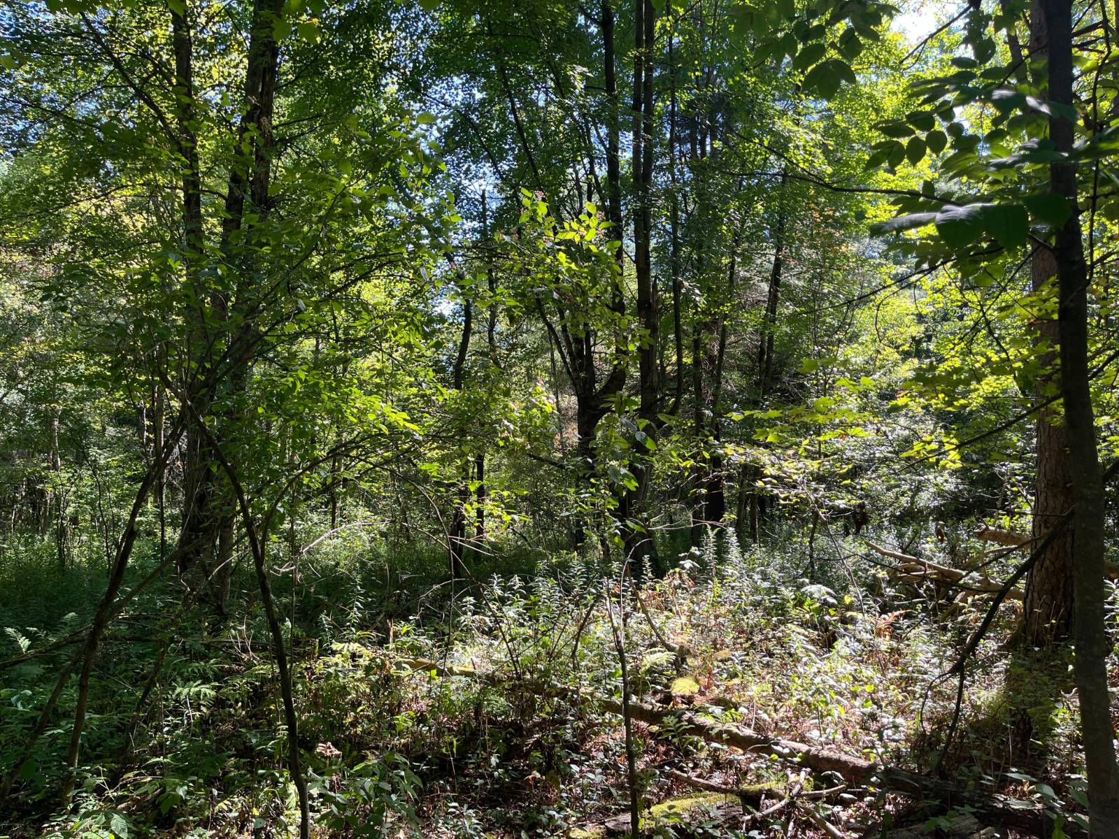 #3 photo, 00 County Route 47, #3, Winthrop , NY 13676