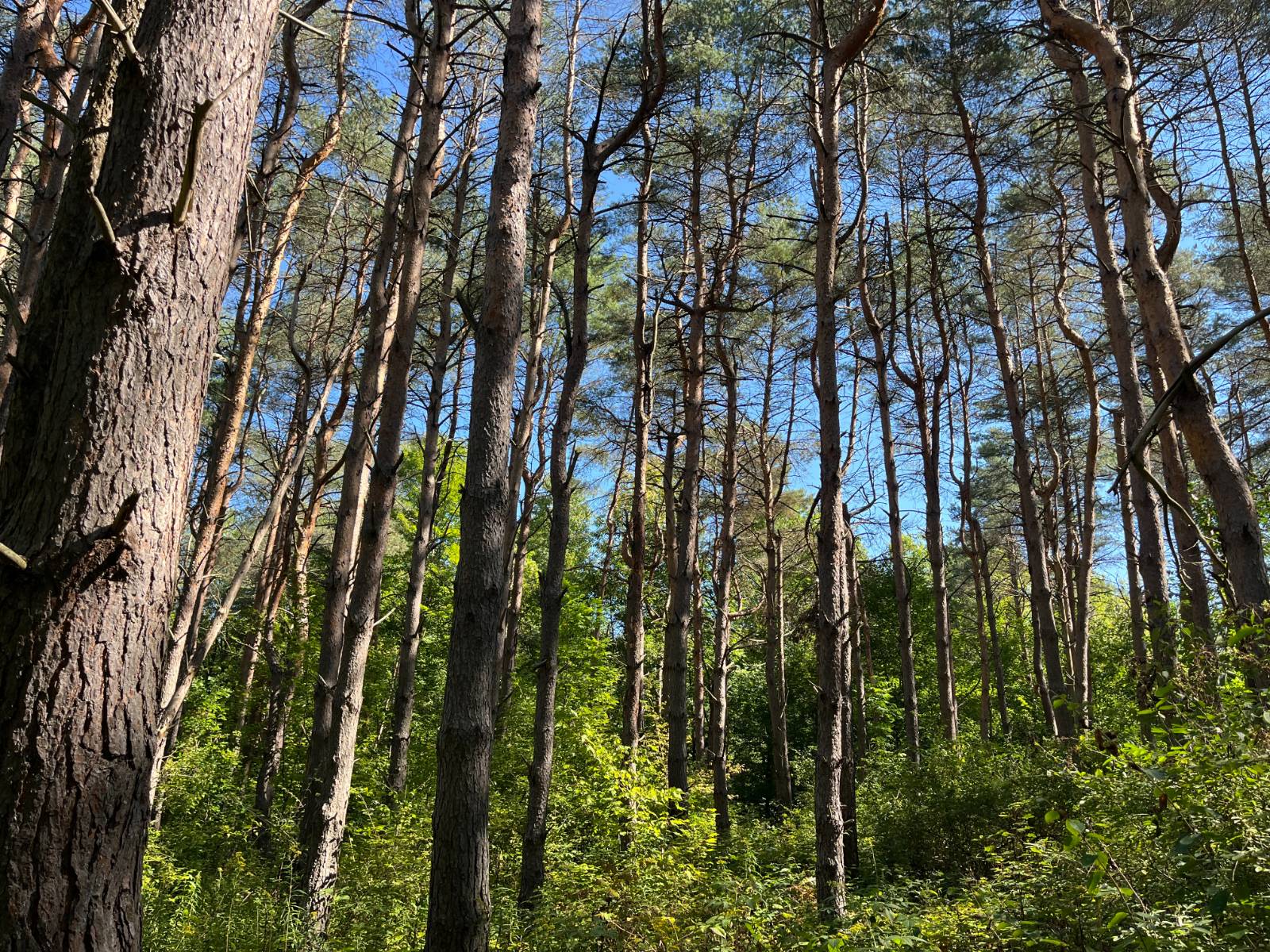 #6 photo, 00 County Route 47, #3, Winthrop , NY 13676