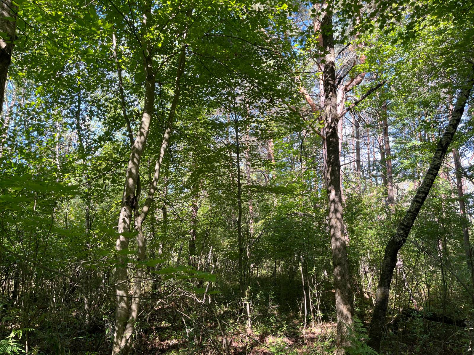 #7 photo, 00 County Route 47, #3, Winthrop , NY 13676