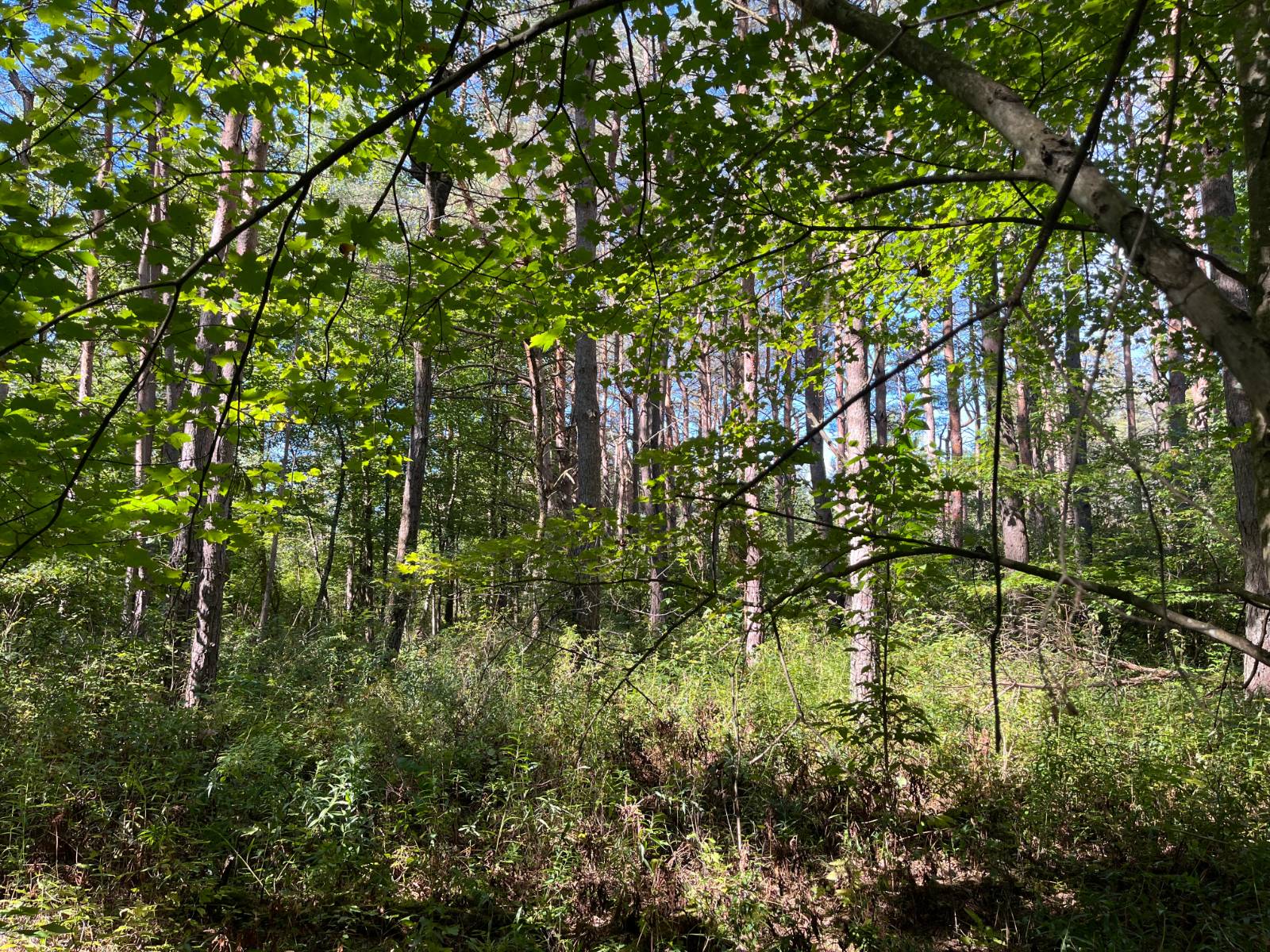 #8 photo, 00 County Route 47, #3, Winthrop , NY 13676