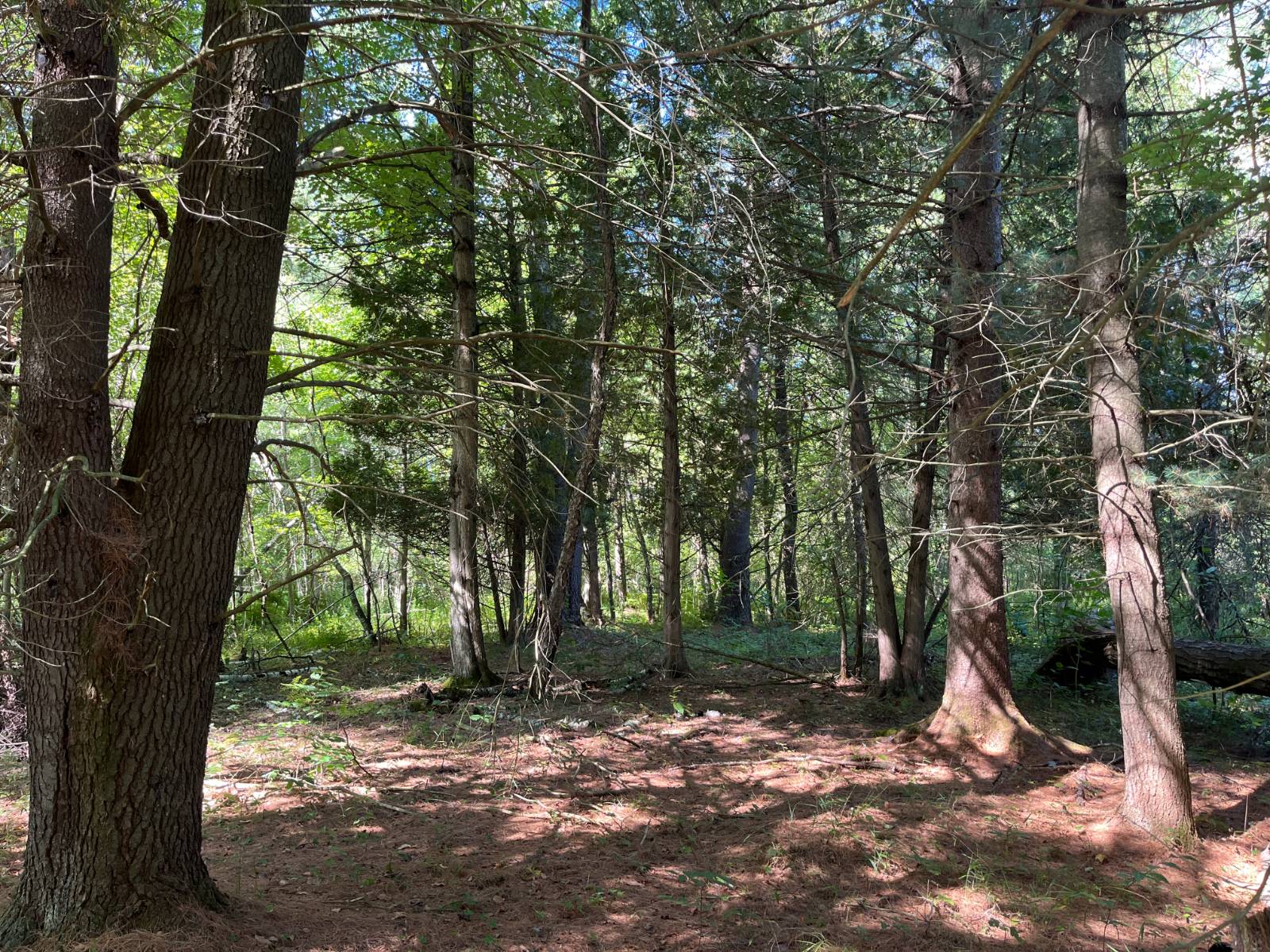 #9 photo, 00 County Route 47, #3, Winthrop , NY 13676