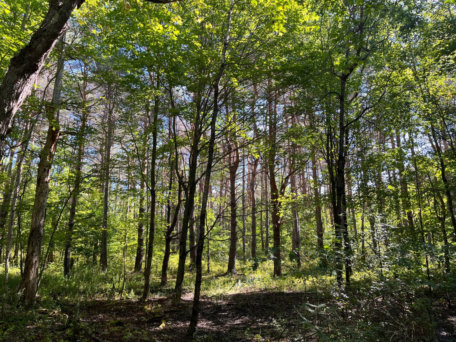 #10 photo, 00 County Route 47, #4, Winthrop , NY 13676