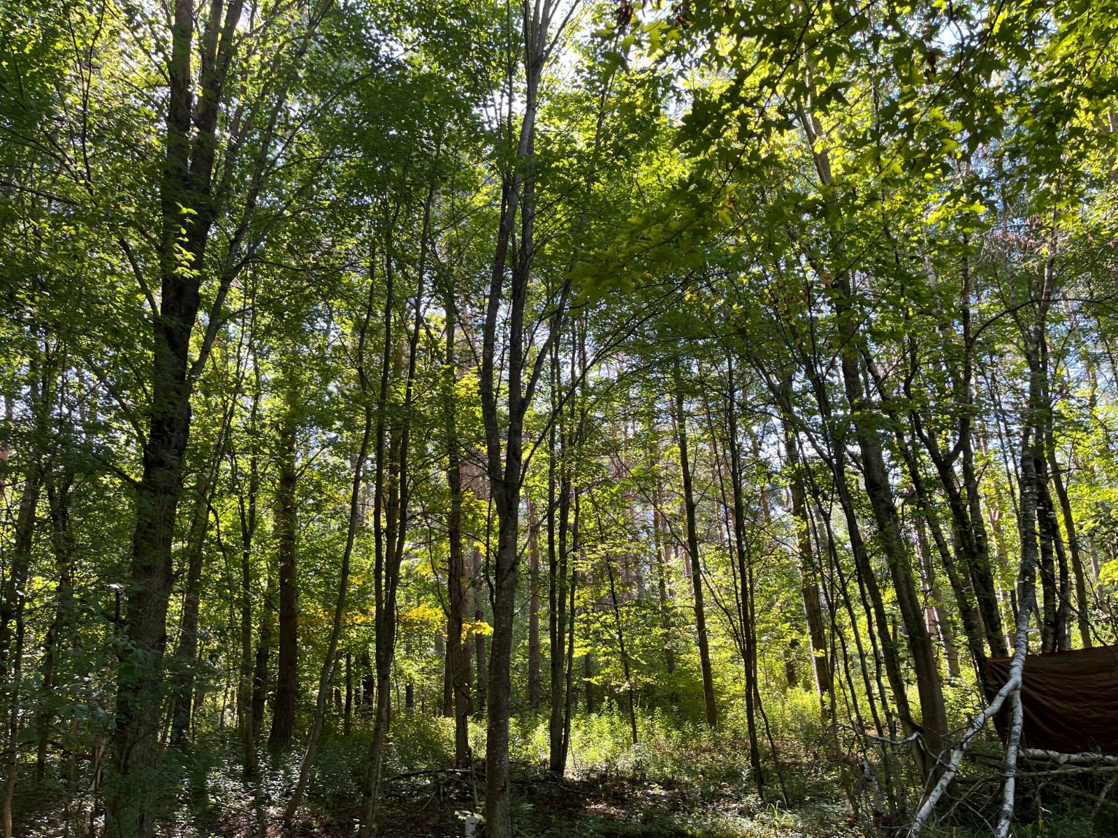 #11 photo, 00 County Route 47, #4, Winthrop , NY 13676