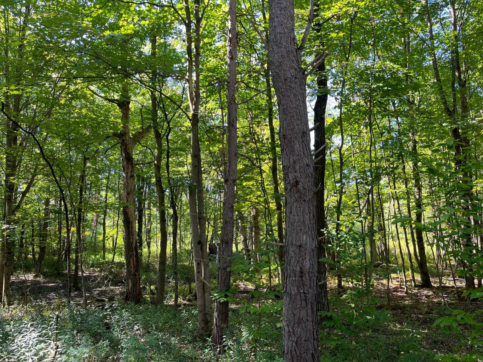 #12 photo, 00 County Route 47, #4, Winthrop , NY 13676