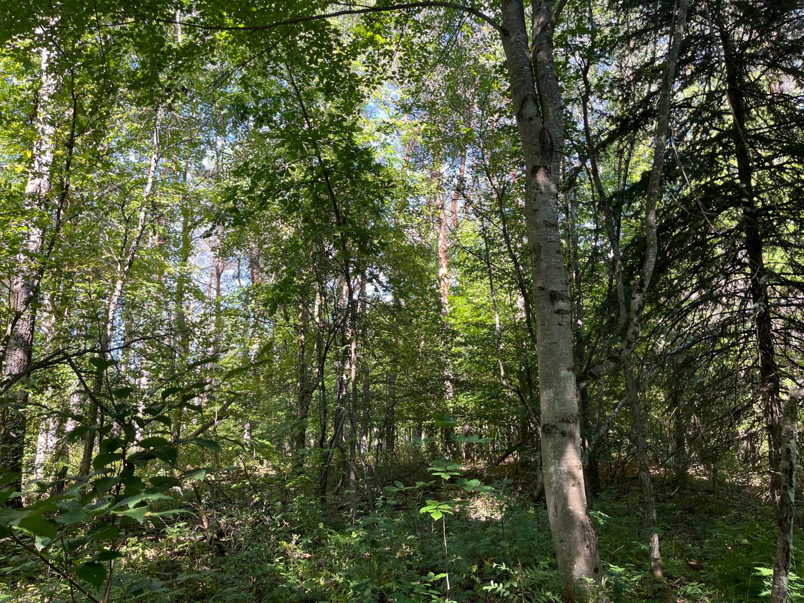 #2 photo, 00 County Route 47, #4, Winthrop , NY 13676