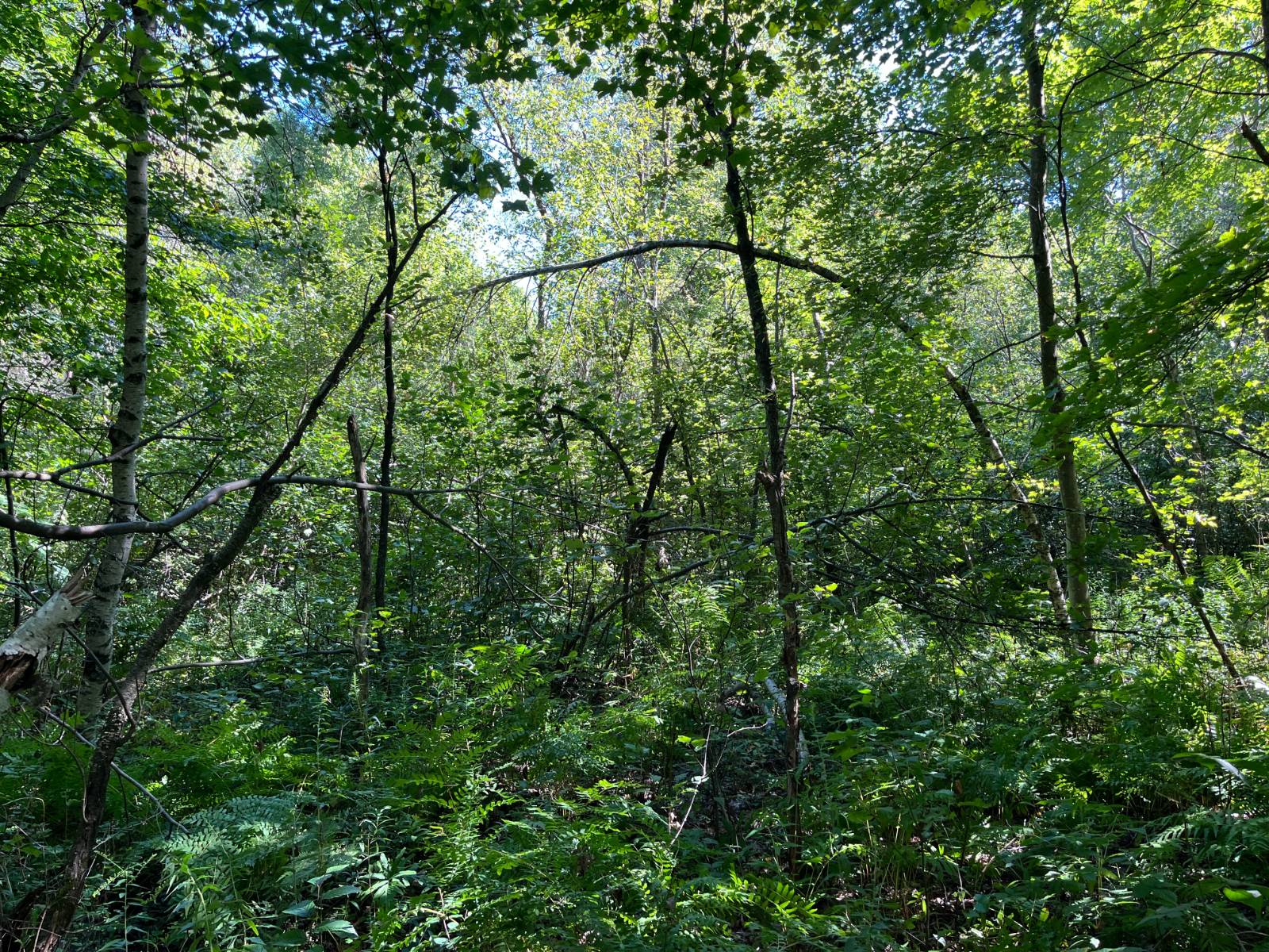 #3 photo, 00 County Route 47, #4, Winthrop , NY 13676