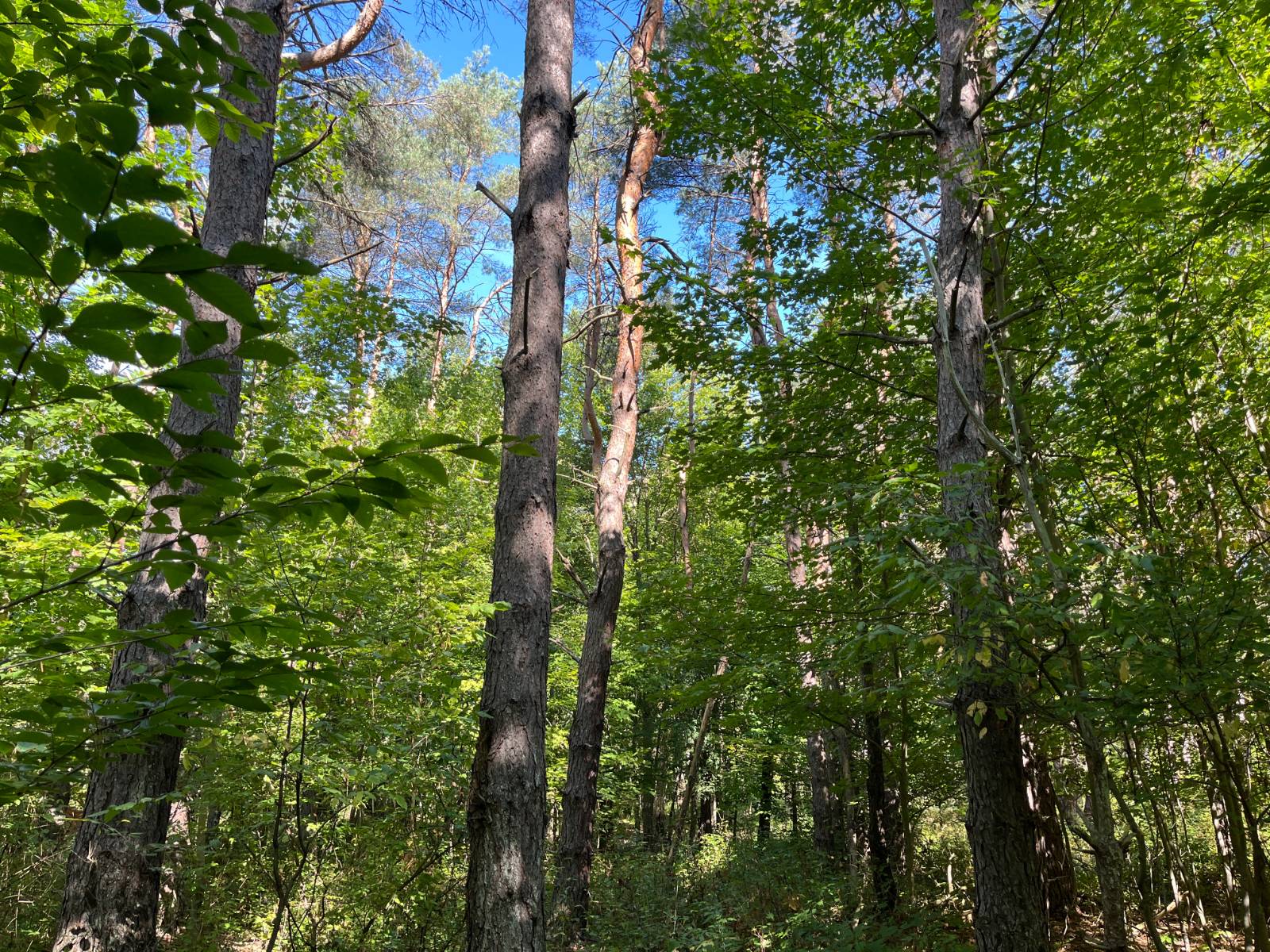 #8 photo, 00 County Route 47, #4, Winthrop , NY 13676