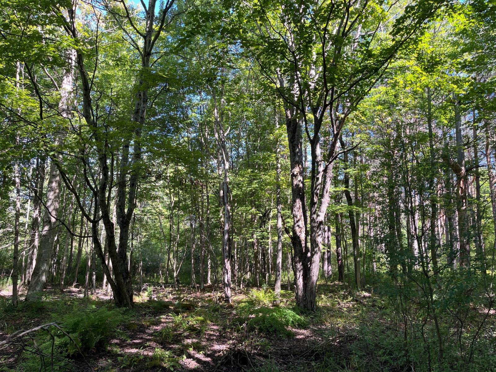 #9 photo, 00 County Route 47, #4, Winthrop , NY 13676