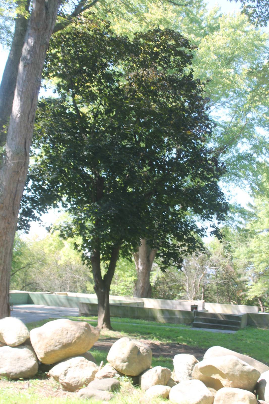 #16 photo, 304 Vedder Rd, Saint Johnsville , NY 13452