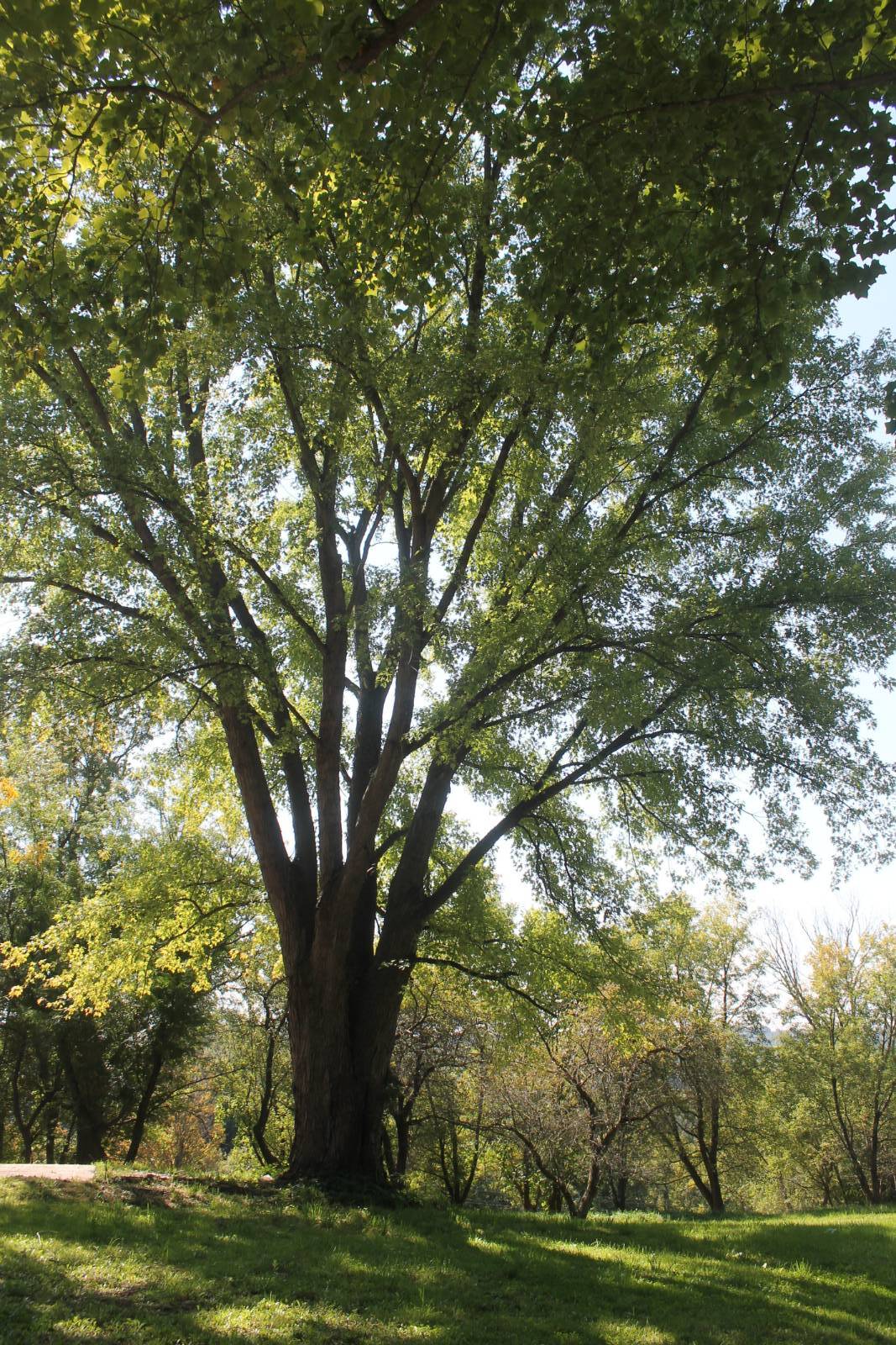 #19 photo, 304 Vedder Rd, Saint Johnsville , NY 13452