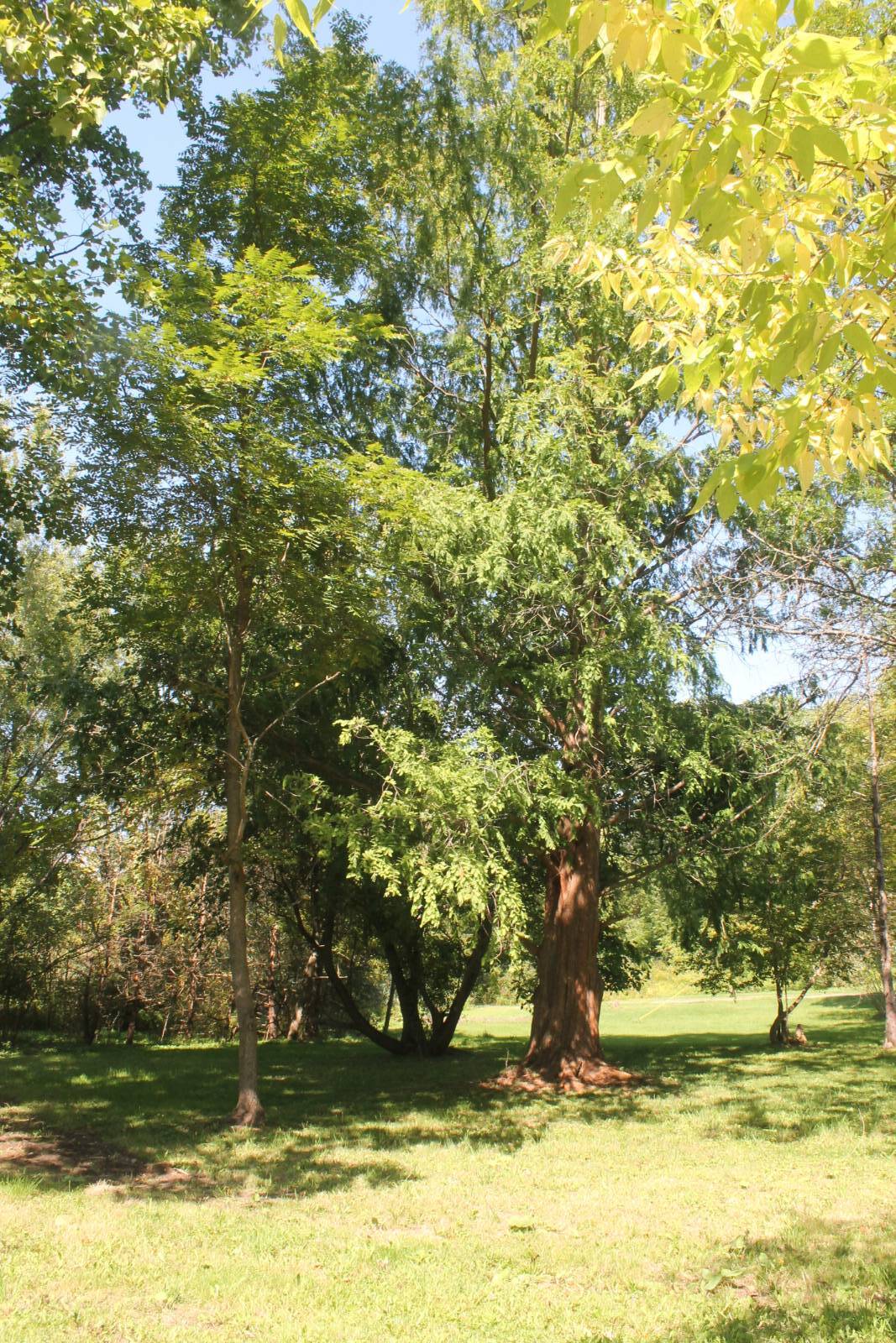 #20 photo, 304 Vedder Rd, Saint Johnsville , NY 13452