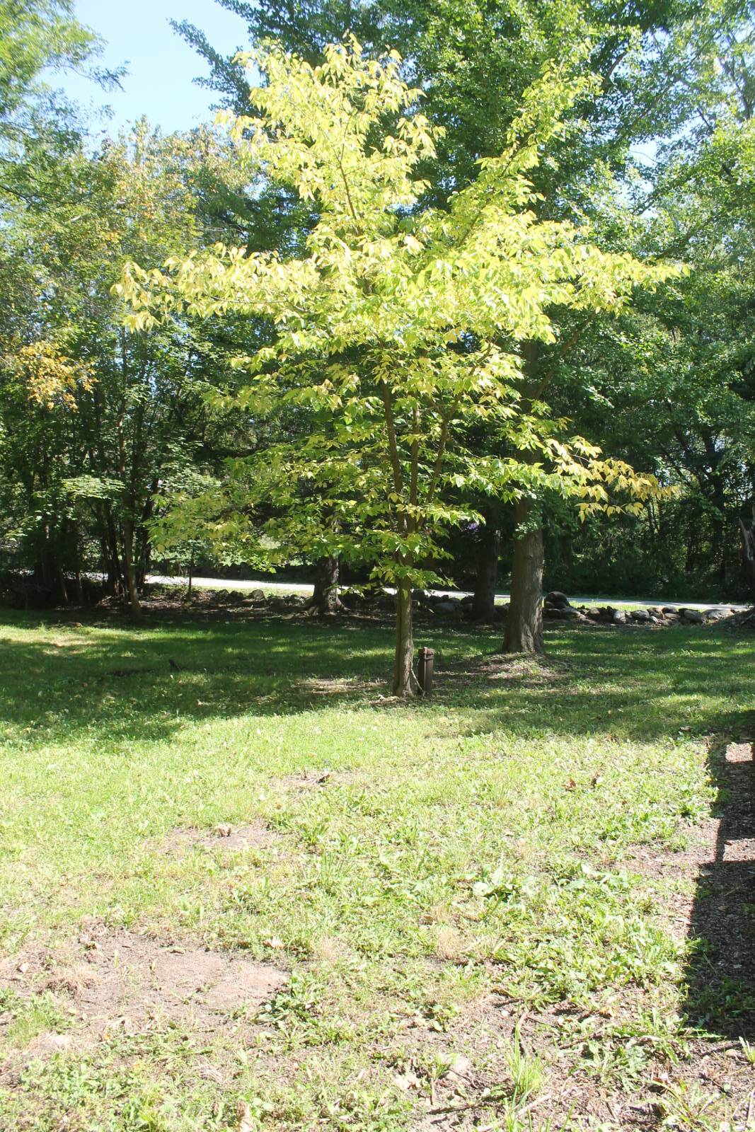 #23 photo, 304 Vedder Rd, Saint Johnsville , NY 13452