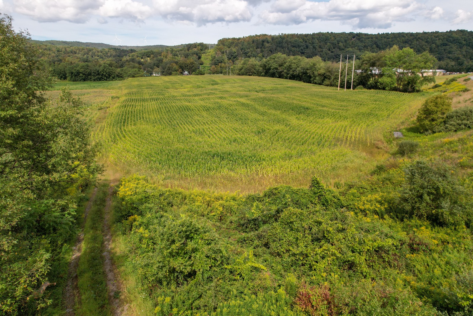 #5 photo, State Hwy 8, Deposit , NY 13754