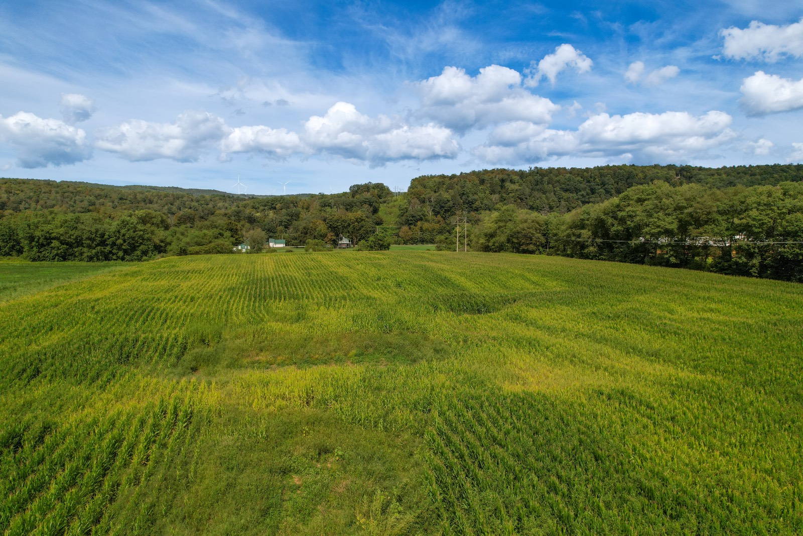 #7 photo, State Hwy 8, Deposit , NY 13754