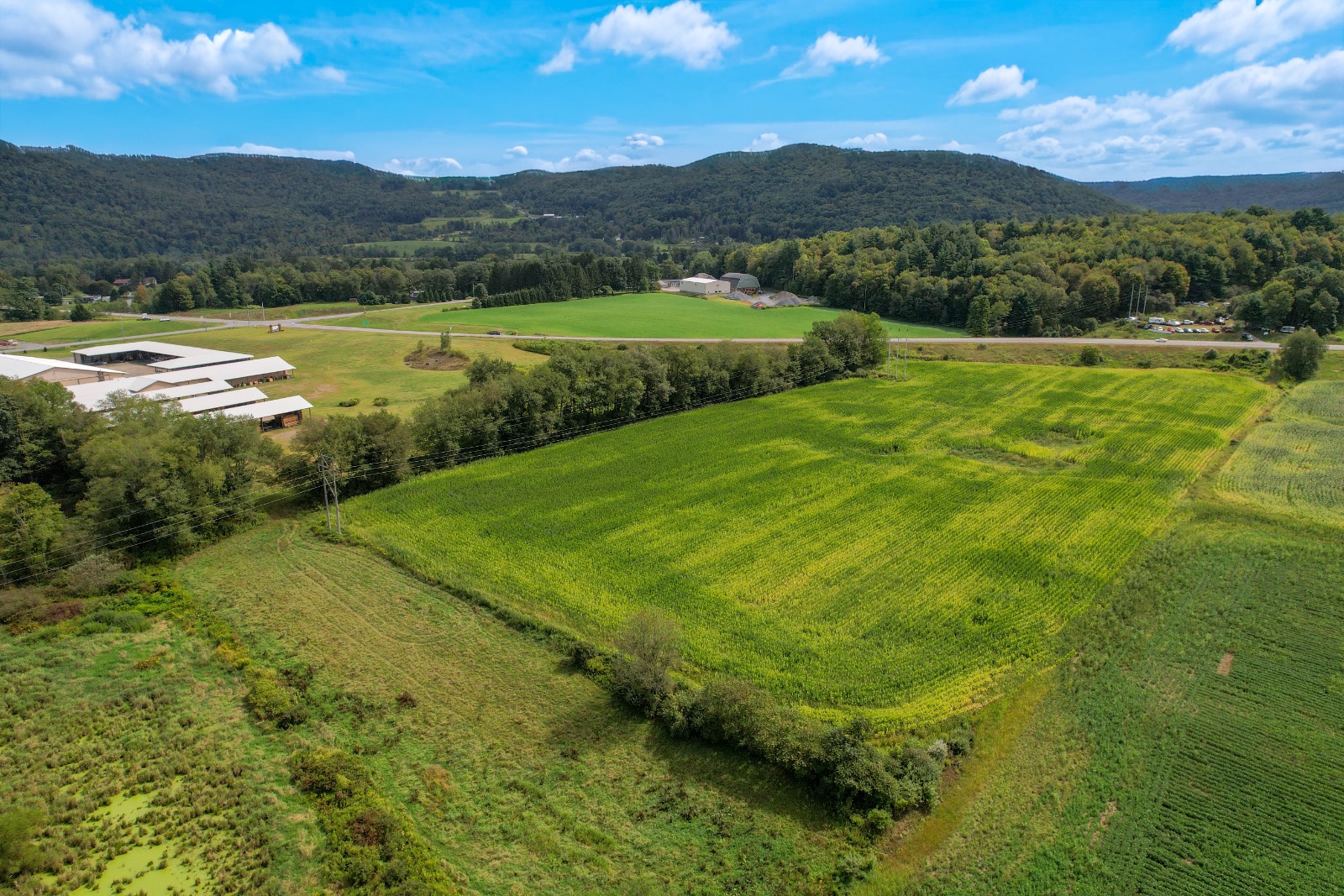 #8 photo, State Hwy 8, Deposit , NY 13754