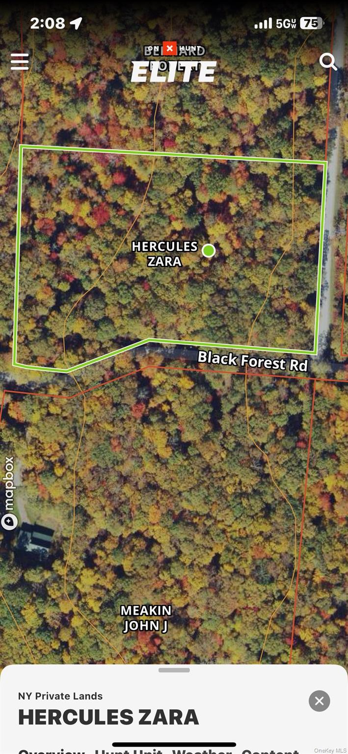 #1 photo, Black Forest Road, Glen Spey , NY 12737