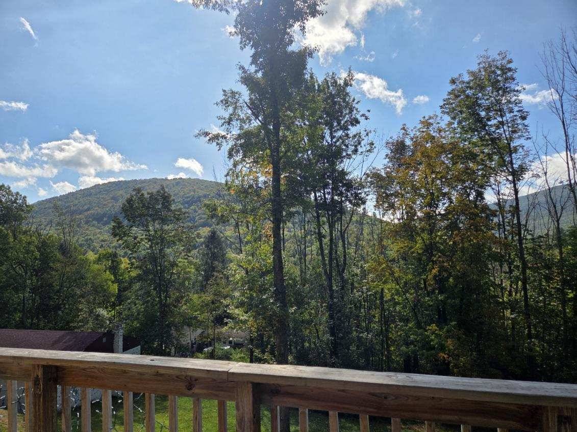 #11 photo, 95  Elliott Hills Road, Arkville , NY 12406