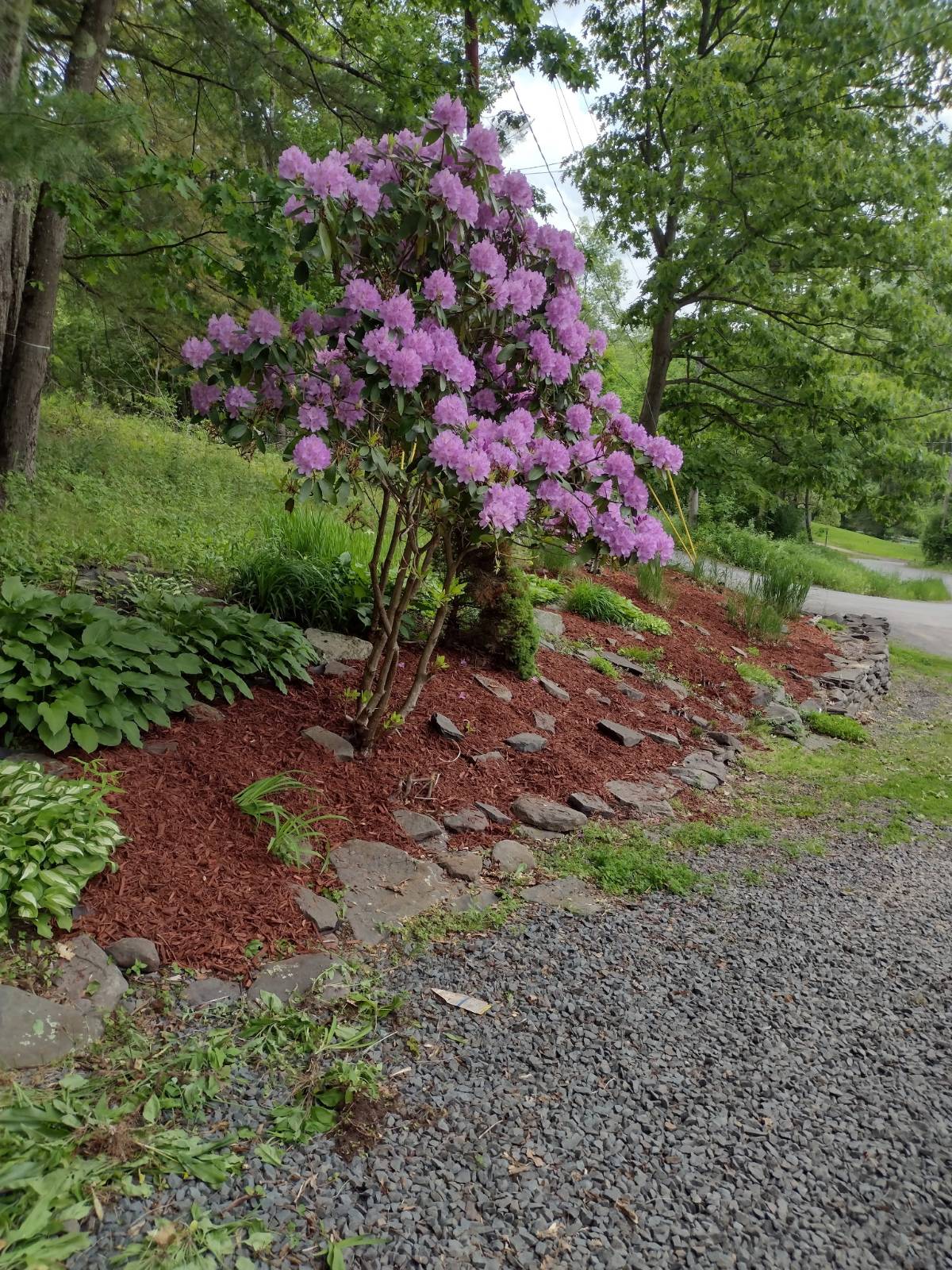 #29 photo, 95  Elliott Hills Road, Arkville , NY 12406